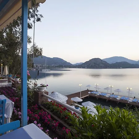 Mavisi * السليمية