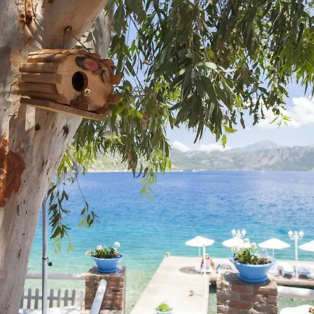 Mavisi فندق مبيت وإفطار السليمية